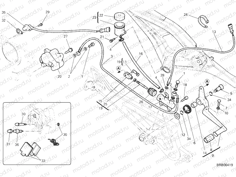 REAR BRAKE SYSTEM » BRAKING SYSTEM