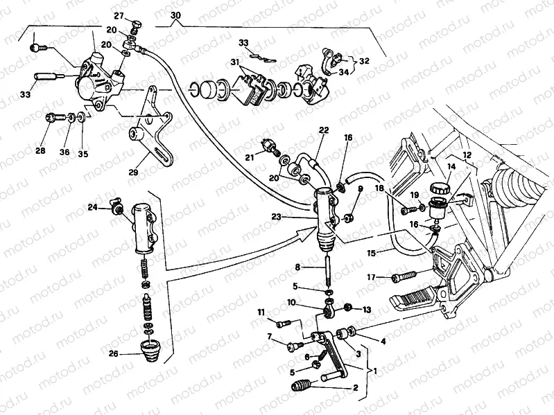 REAR BRAKE SYSTEM FM 002305 » BRAKING SYSTEM