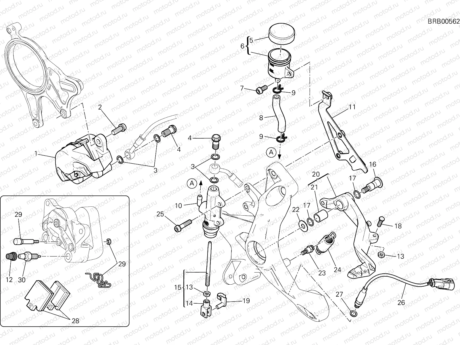 REAR BRAKE SYSTEM [MOD:M 1200]