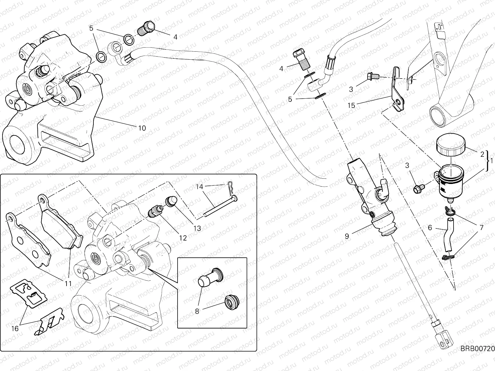 REAR BRAKE SYSTEM [MOD:SCR800NS]