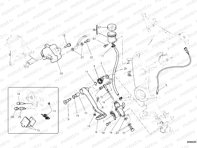 REAR BRAKING SYSTEM » BRAKING SYSTEM