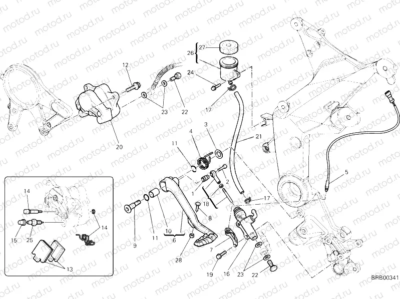 REAR BRAKING SYSTEM » BRAKING SYSTEM