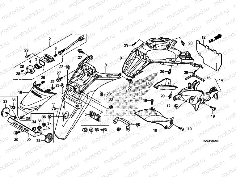 REAR FENDER / LICENSE LIGHT