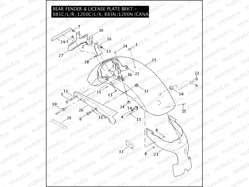 REAR FENDER & LICENSE PLATE BRKT - 883C/L/R, 1200C/L/X, 883N/1200N (CAN)