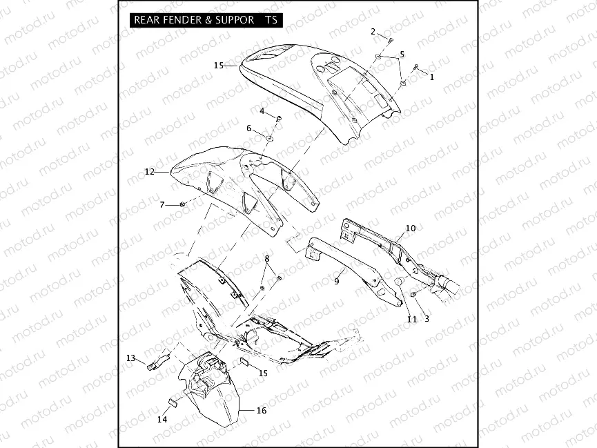 REAR FENDER & SUPPORTS