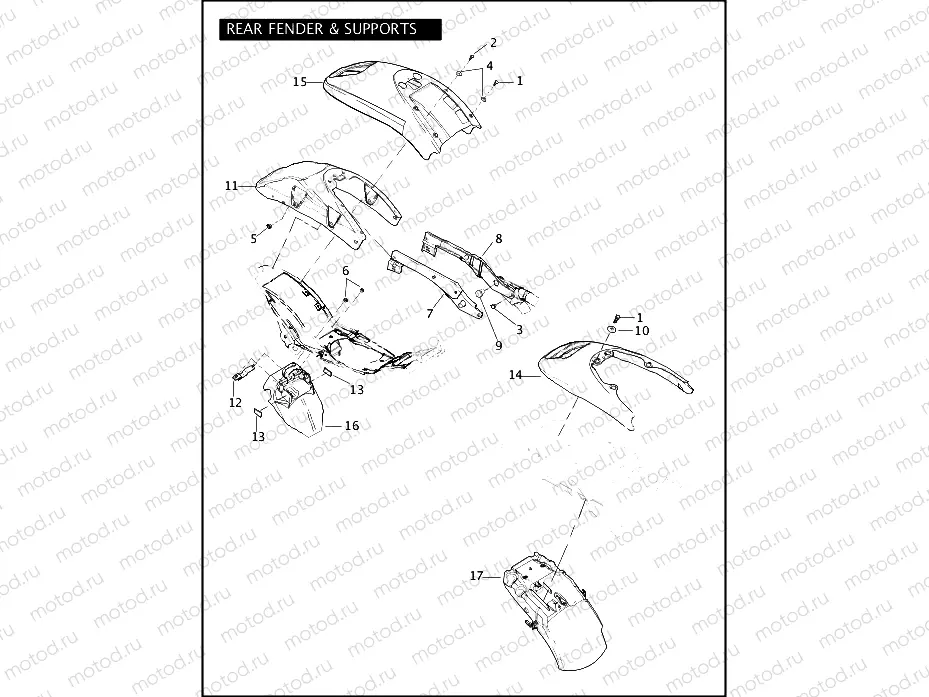 REAR FENDER & SUPPORTS