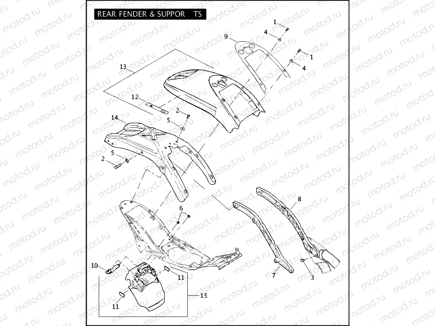 REAR FENDER & SUPPORTS