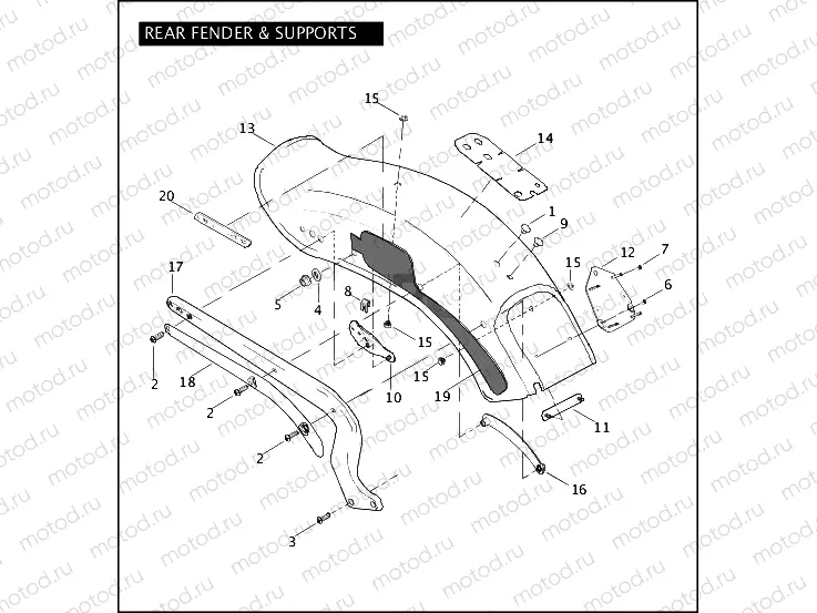 REAR FENDER & SUPPORTS
