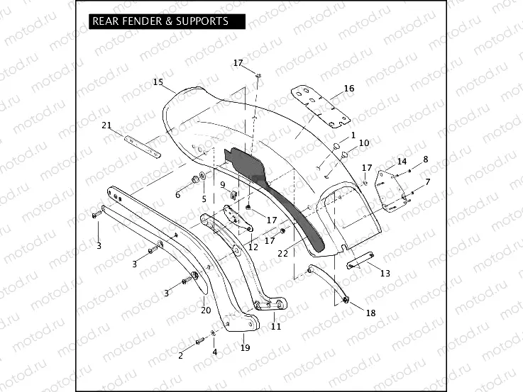 REAR FENDER & SUPPORTS