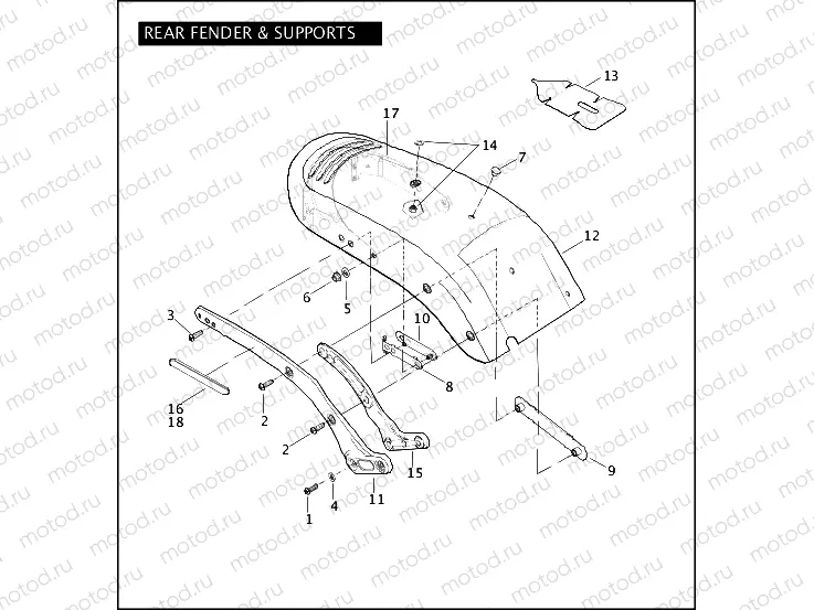 REAR FENDER & SUPPORTS
