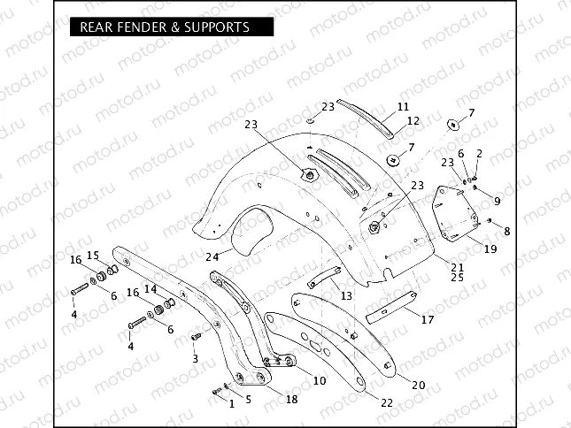 REAR FENDER & SUPPORTS