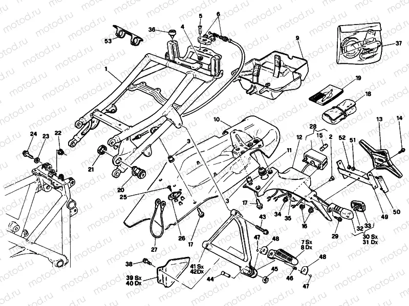 REAR FRAME USA » FRAME
