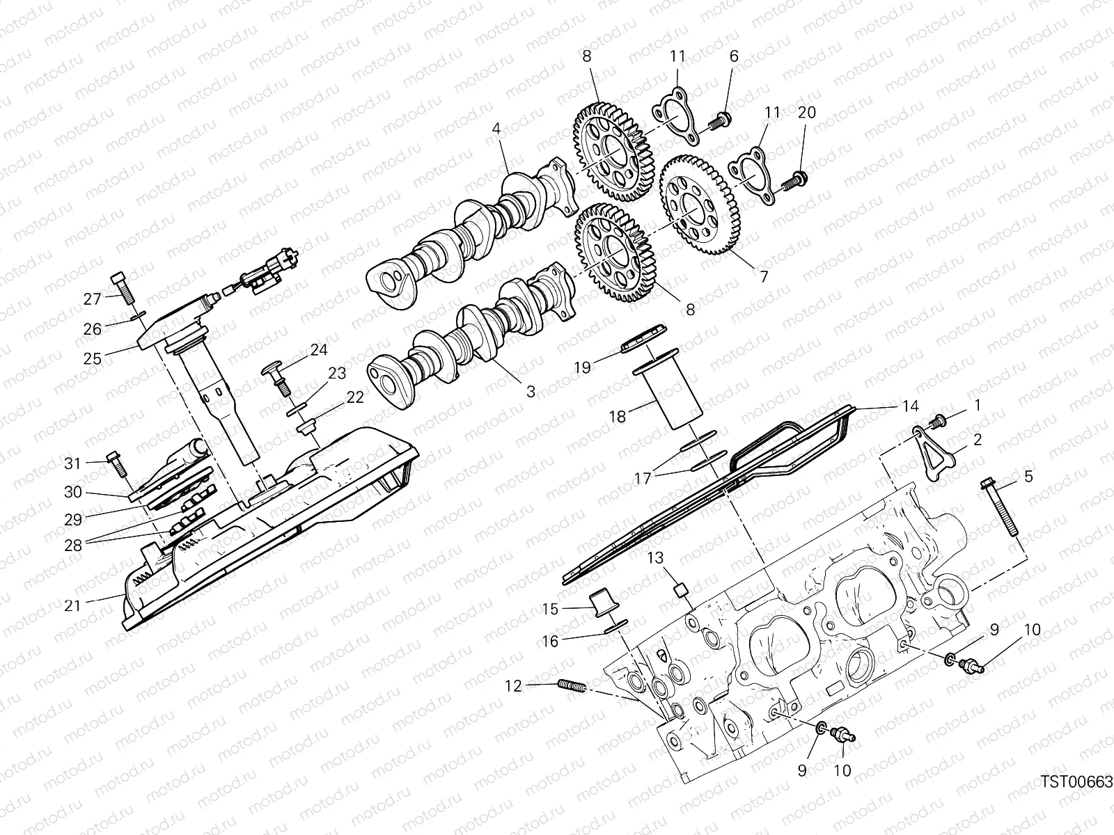 REAR HEAD - TIMING SYSTEM [MOD:PANV4]
