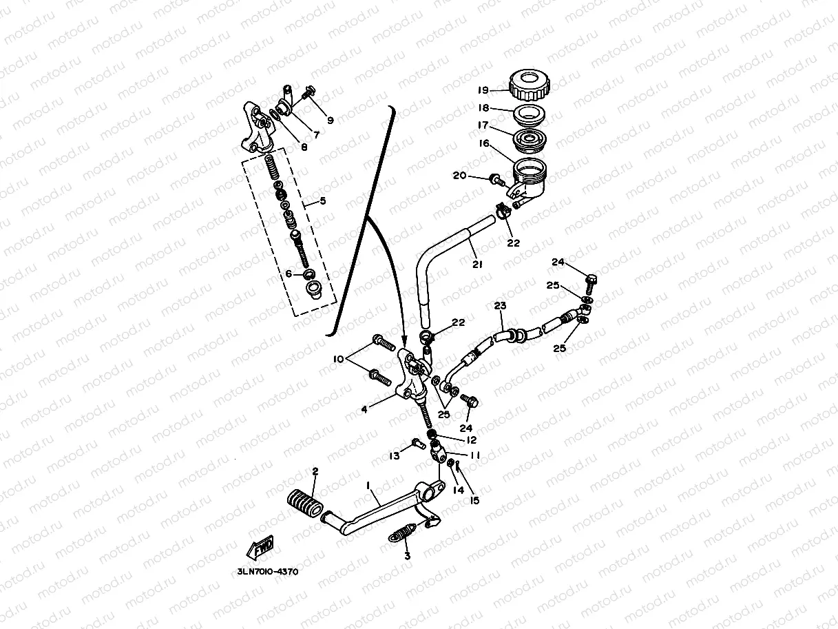 Rear mastic cylinder