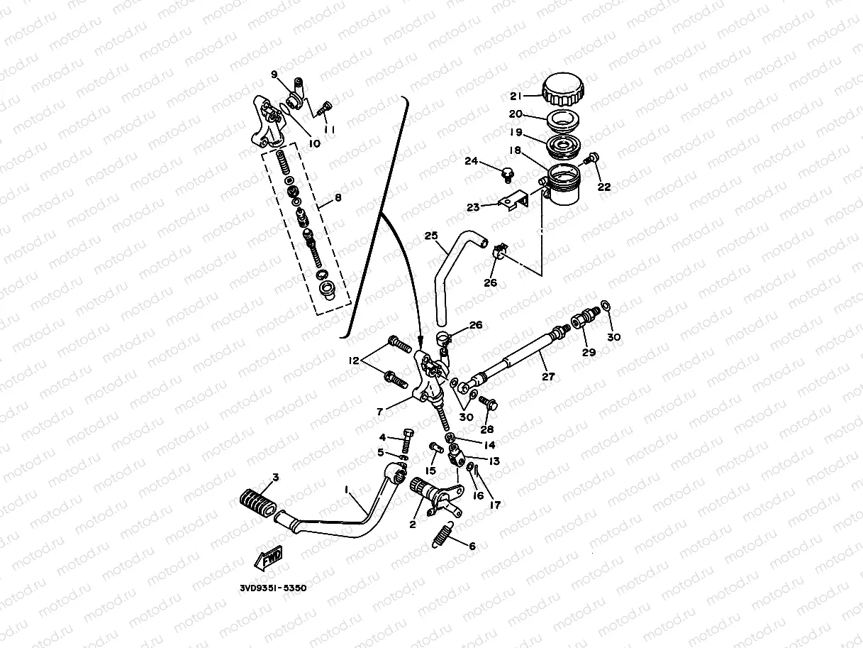 Rear mastic cylinder