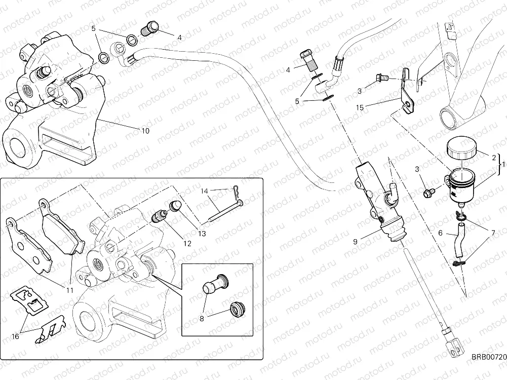REAR SHOCK ABSORBER [MOD:SCR11SPE]
