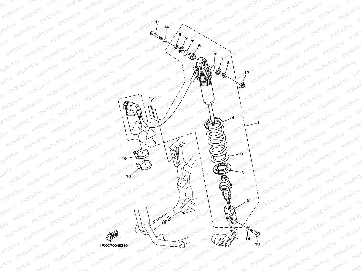 REAR SUSPENSION