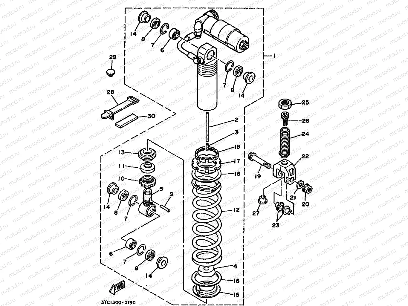 REAR SUSPENSION