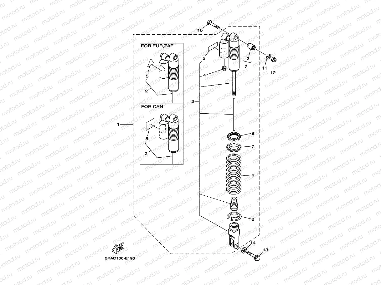 REAR SUSPENSION