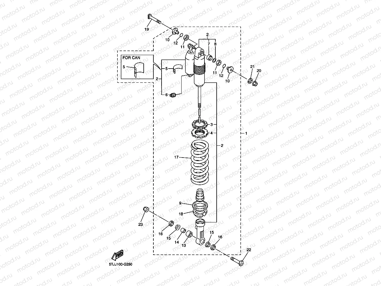 REAR SUSPENSION