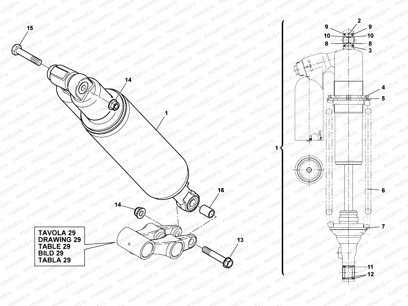REAR SUSPENSION