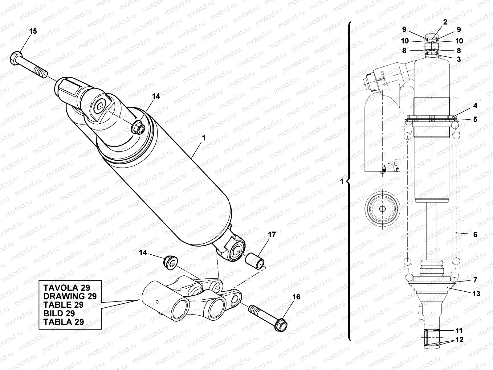 REAR SUSPENSION