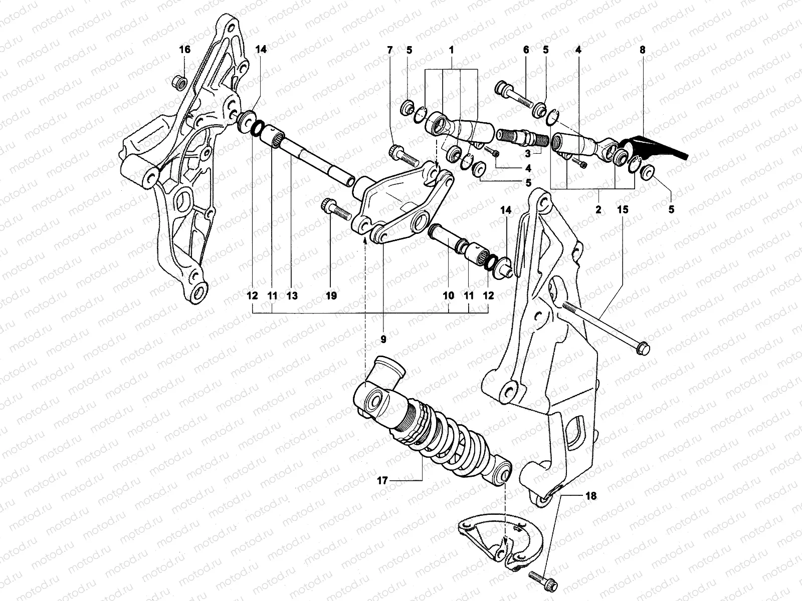 Rear Suspension Assembly