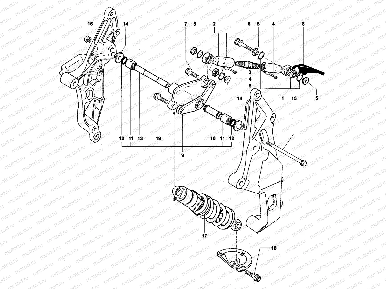 Rear Suspension Assembly