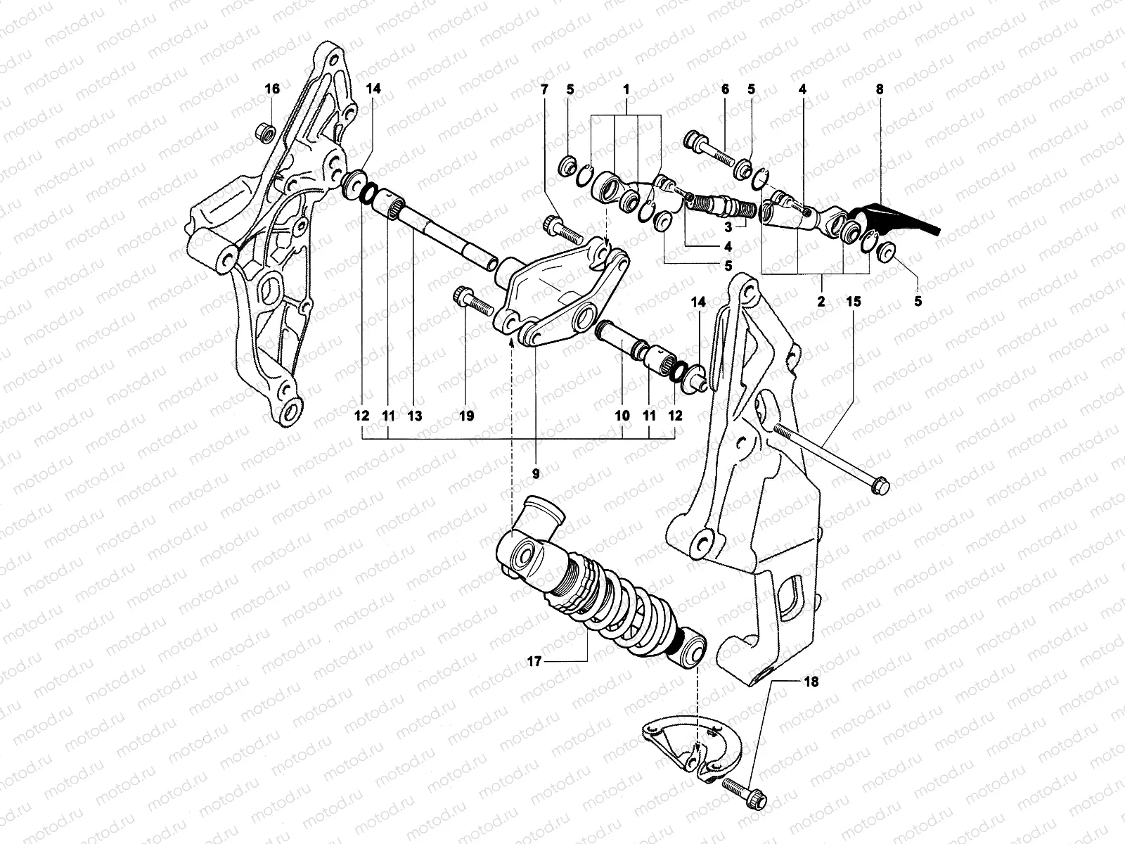 Rear Suspension Assembly