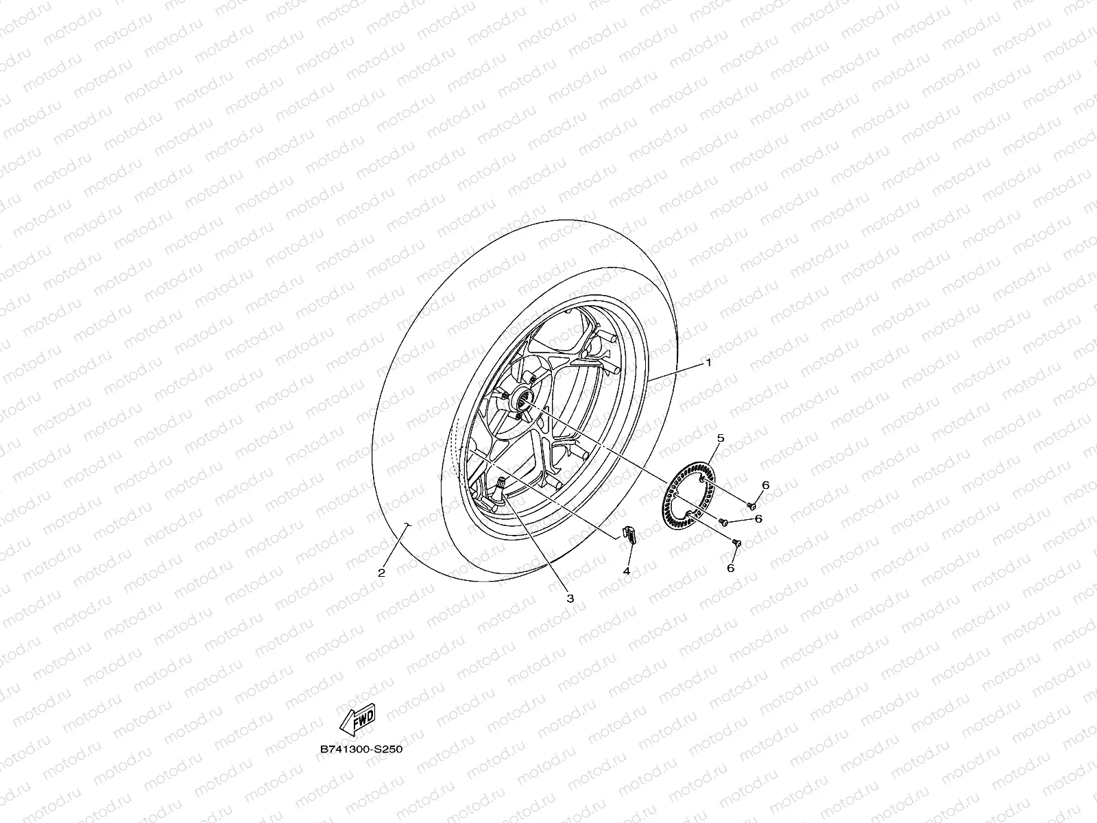 REAR WHEEL & BRAKE SYSTEM