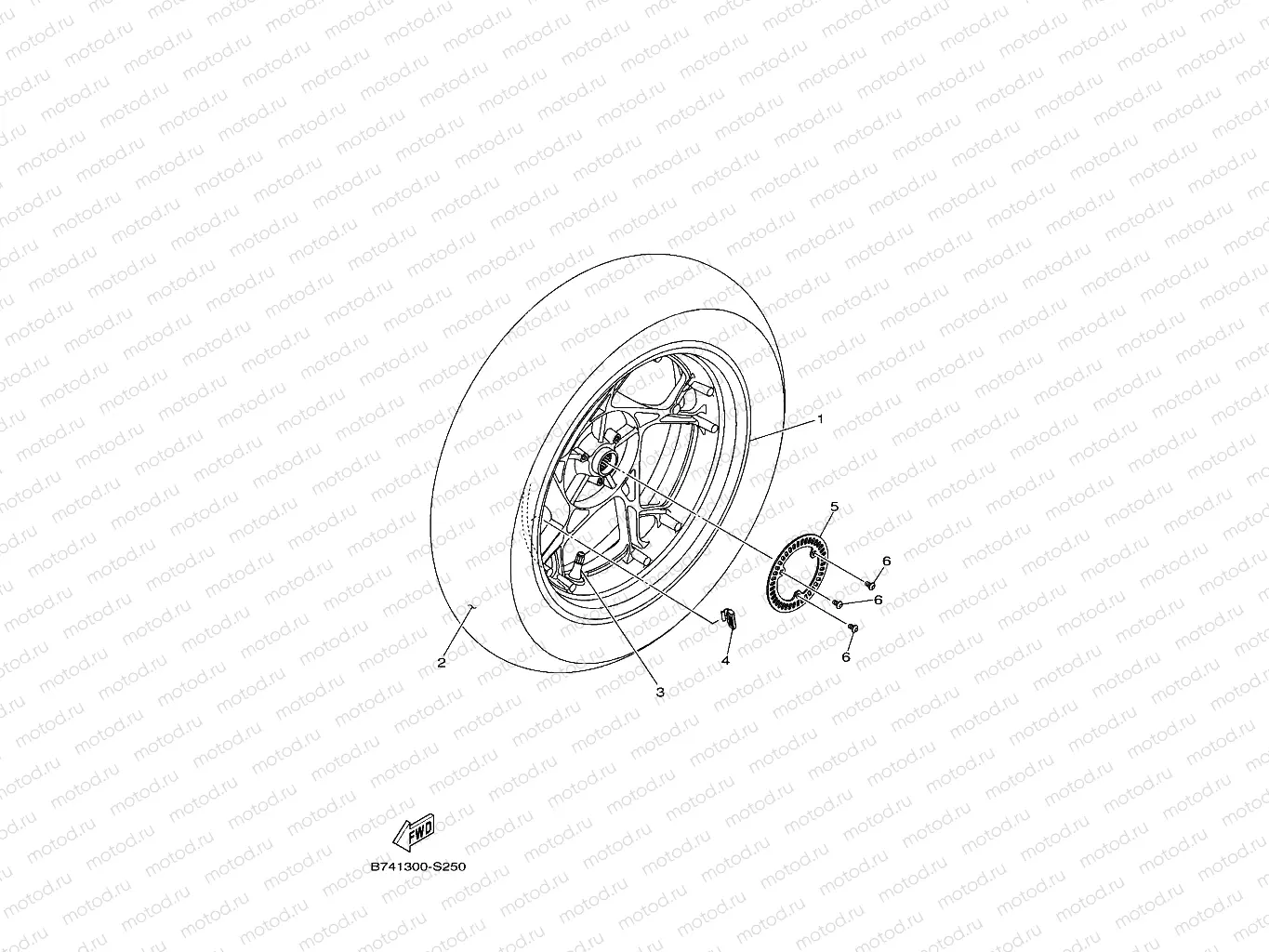 REAR WHEEL & BRAKE SYSTEM