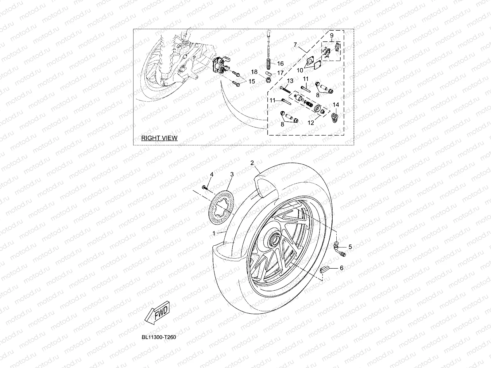 REAR WHEEL & BRAKE SYSTEM