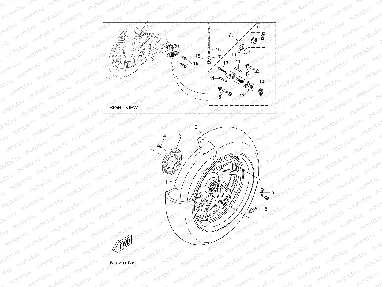 REAR WHEEL & BRAKE SYSTEM