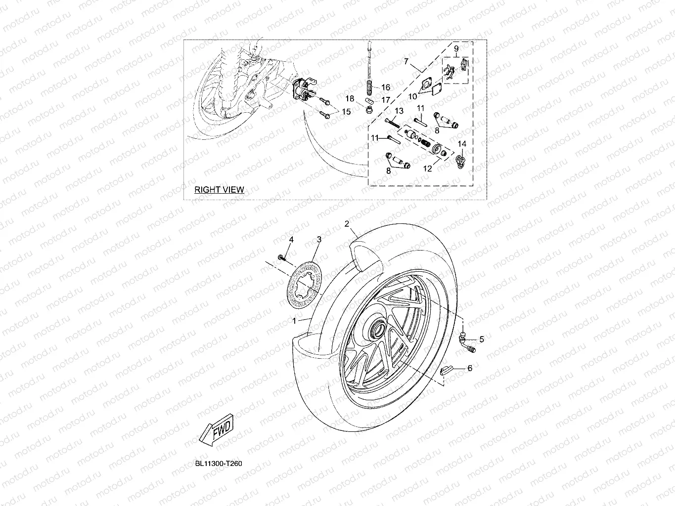 REAR WHEEL & BRAKE SYSTEM