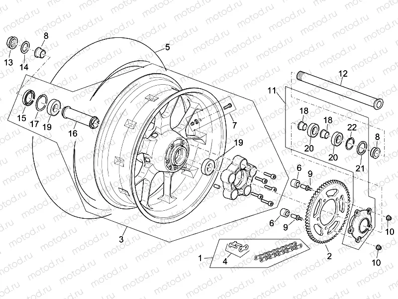 Rear wheel Factory - Dream II