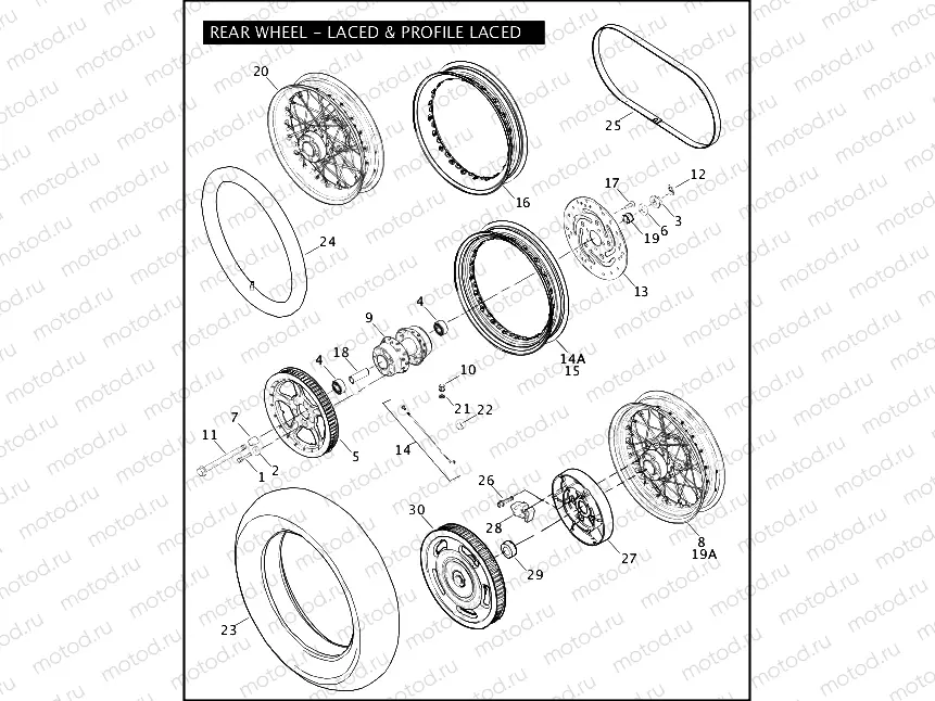 REAR WHEEL - LACED & PROFILE LACED
