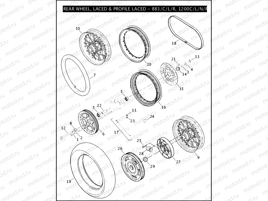 REAR WHEEL, LACED & PROFILE LACED - 883/C/L/R, 1200C/L/N/R