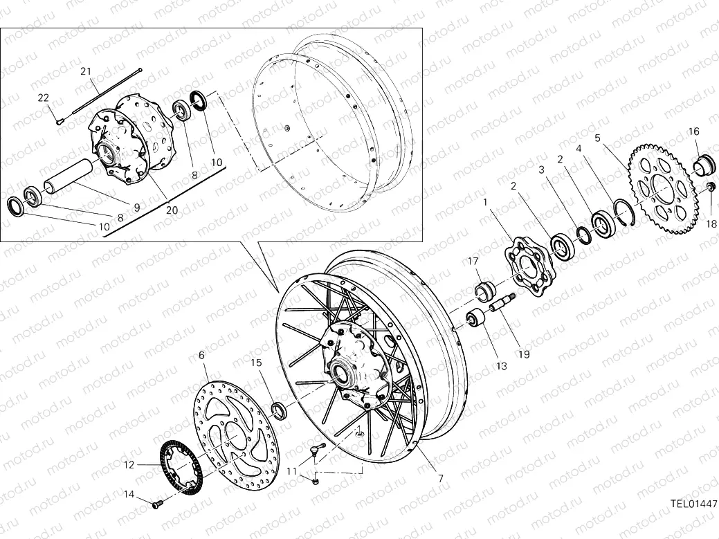 Rear Wheel Spoked