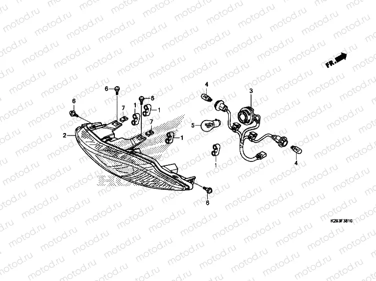 REARCOMBINATION LIGHT