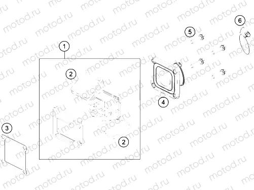 REED VALVE CASE|Engine|30