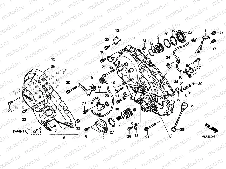 RIGHT CRANKCASE COVER