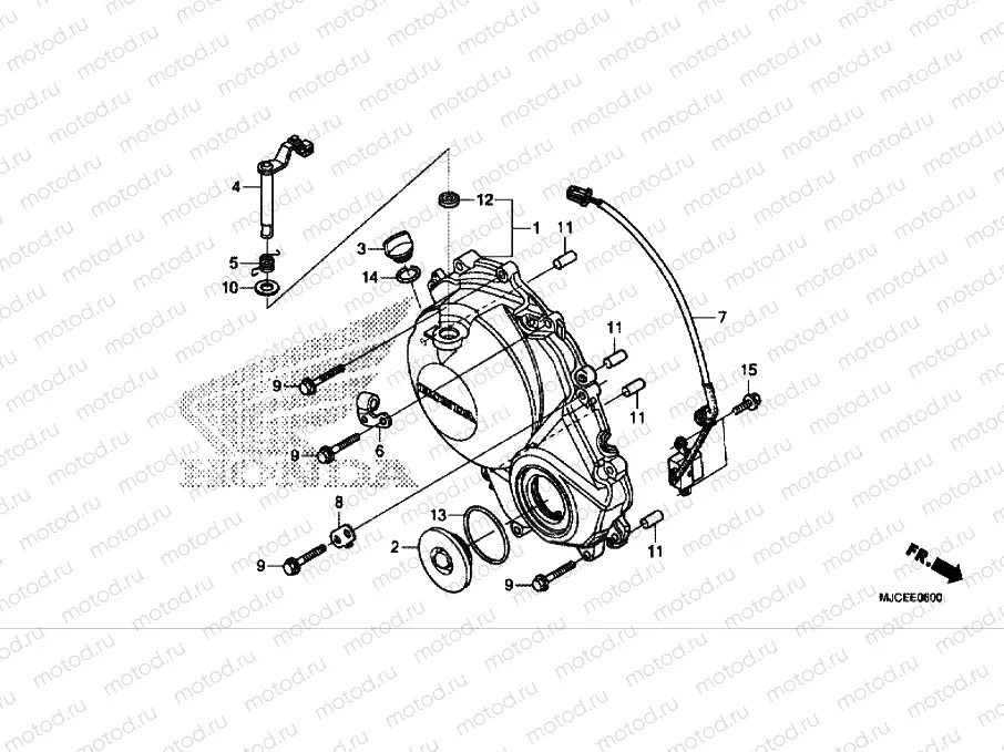 RIGHT CRANKCASE COVER