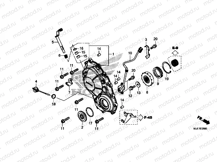 RIGHT CRANKCASE COVER