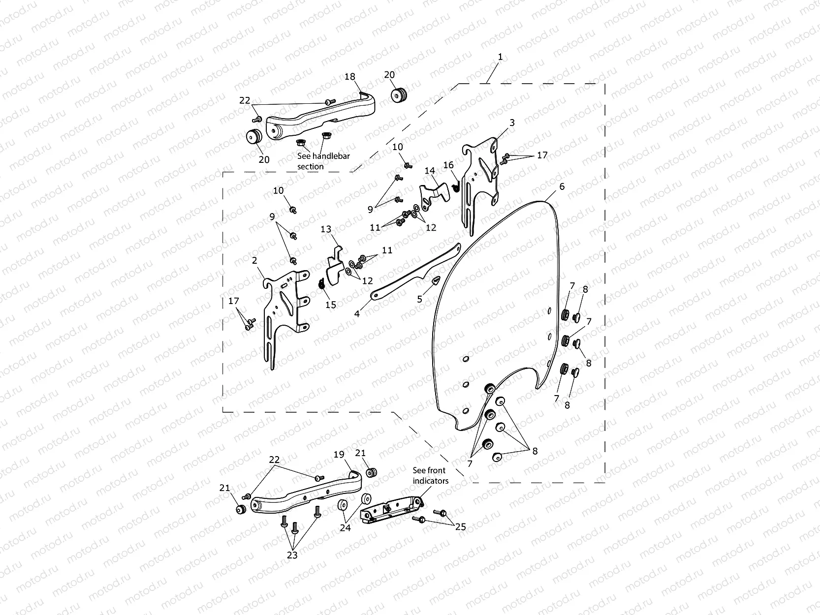 Screen - Special Edition Only