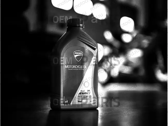 SHIFT CAM - FORK [MOD:SCR800DS]