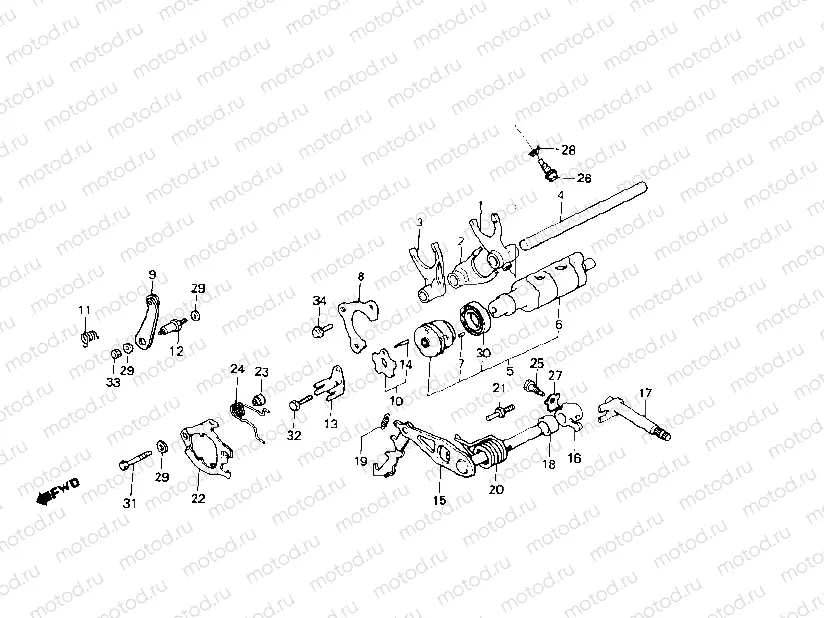 Shift drum - Shift fork