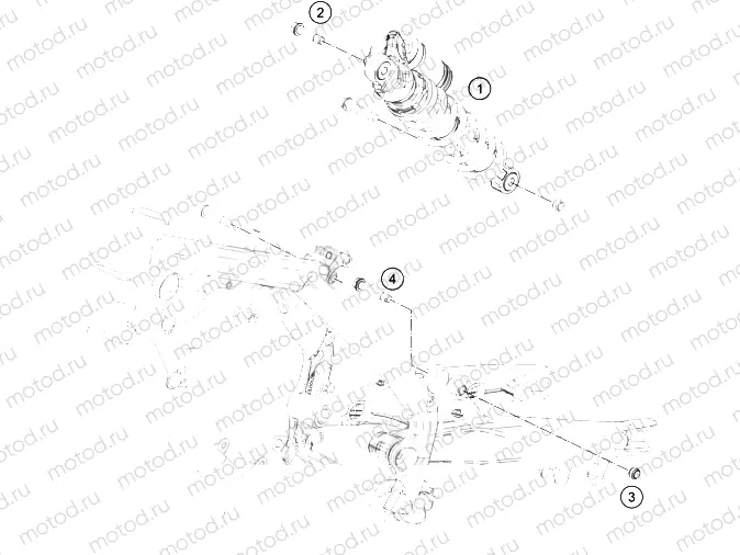 SHOCK ABSORBER|Frame|04