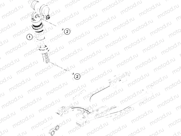 SHOCK ABSORBER|Frame|04