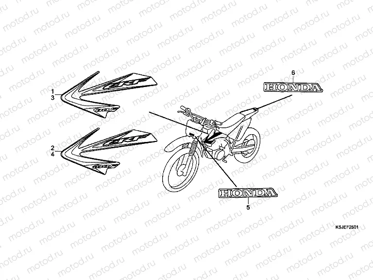 SIGNAL F-25-1 (CRF80FB / CRF100FB)