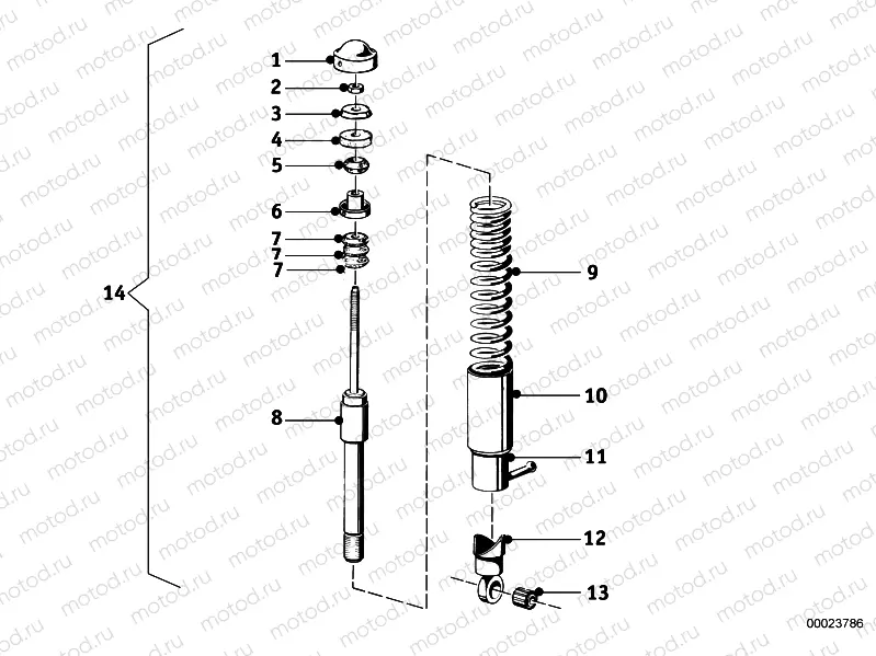 Spring strut, rear